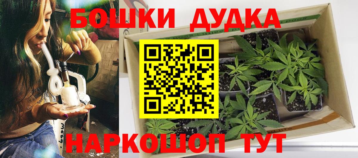 Бошки марихуана Amnesia  Вход с VPN  Котовск  Каннабис THC 21%  Марихуана индика 
